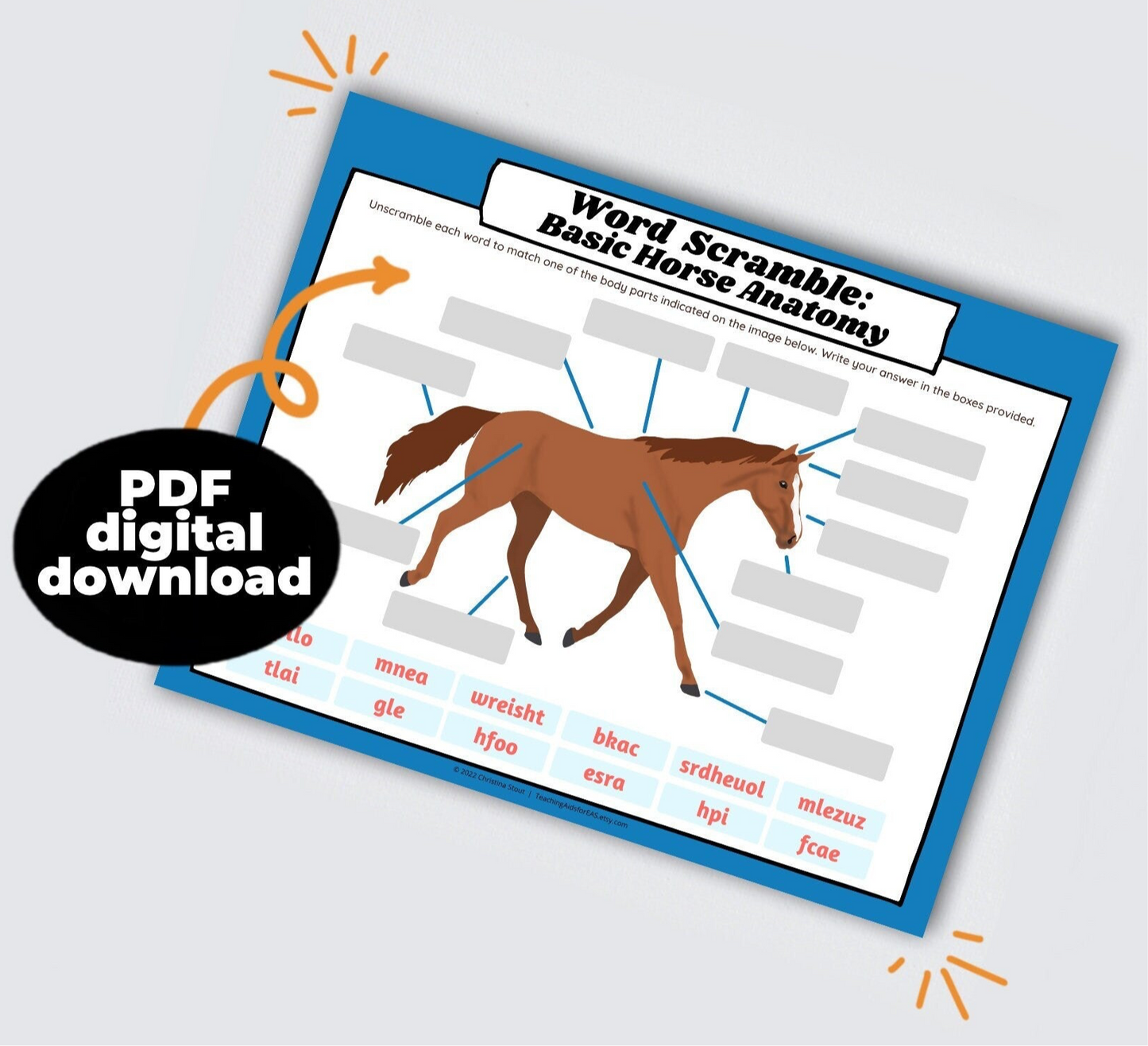 word scramble, horse anatomy basics - PDF download - Teaching Aids for EAS