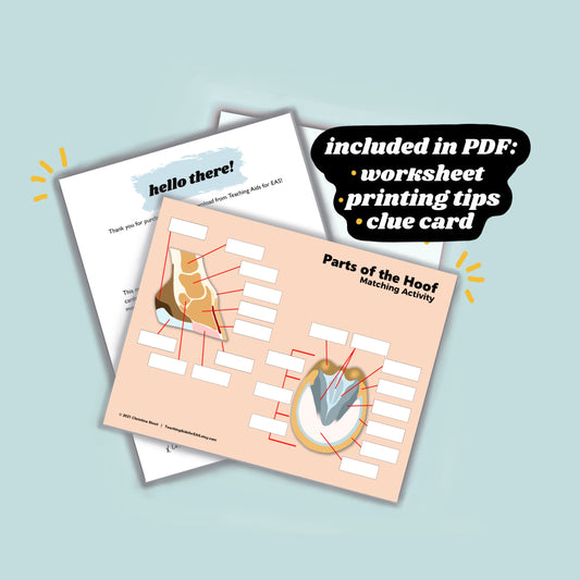 parts of the hoof - PDF download - Teaching Aids for EAS