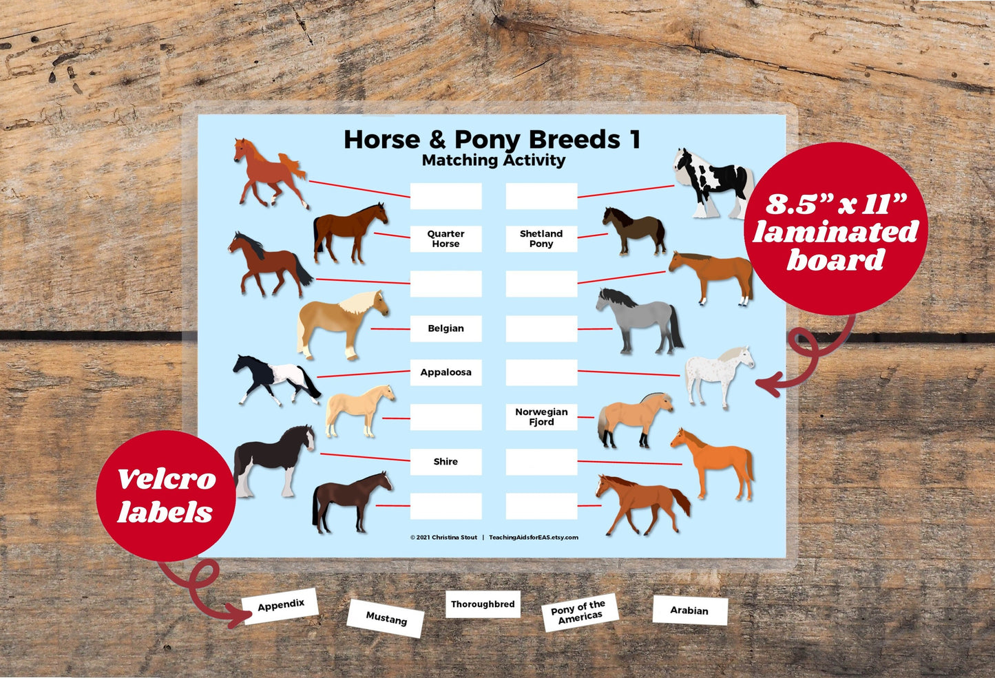velcro board, horse breeds 1 - Teaching Aids for EAS