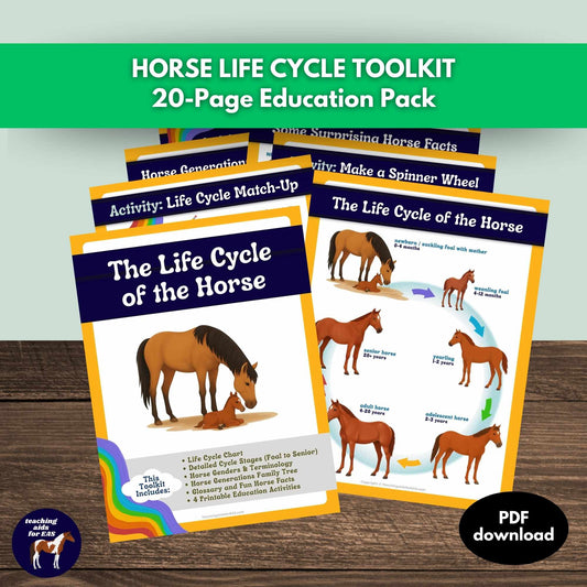 horse life cycles toolkit - PDF download