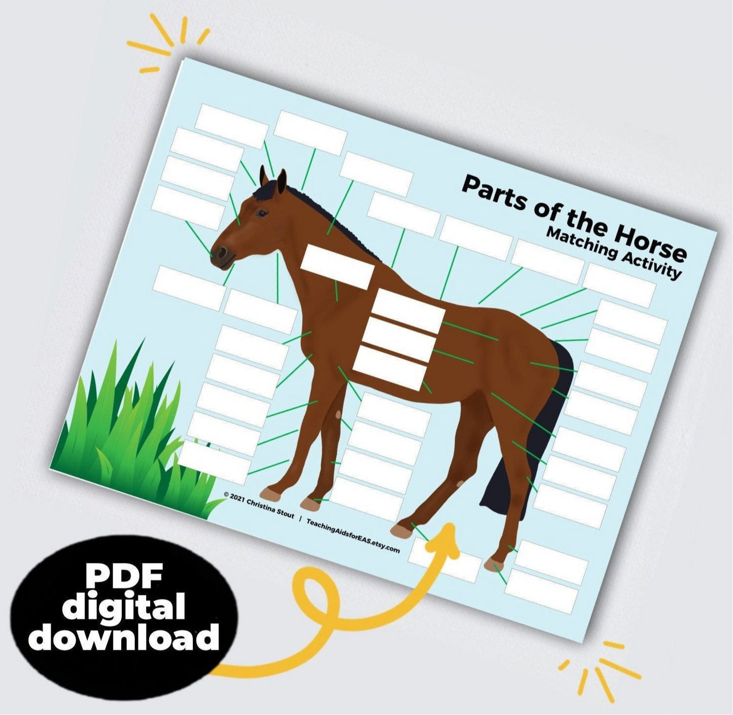 parts of the horse - PDF download - Teaching Aids for EAS