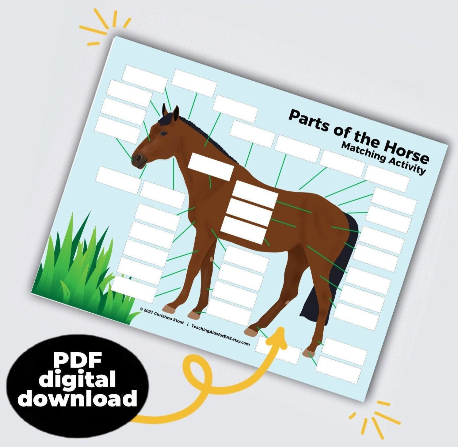 parts of the horse - PDF download - Teaching Aids for EAS
