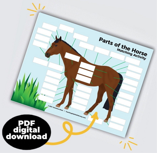 parts of the horse - PDF download - Teaching Aids for EAS