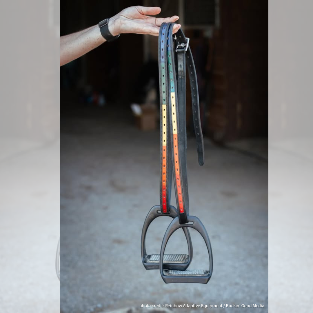 Reinbow Stirrup System leathers (2 sizes) - Teaching Aids for EAS