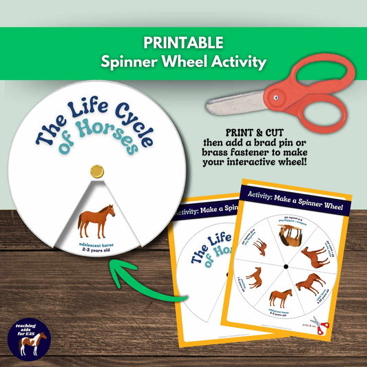 horse life cycles toolkit - PDF download