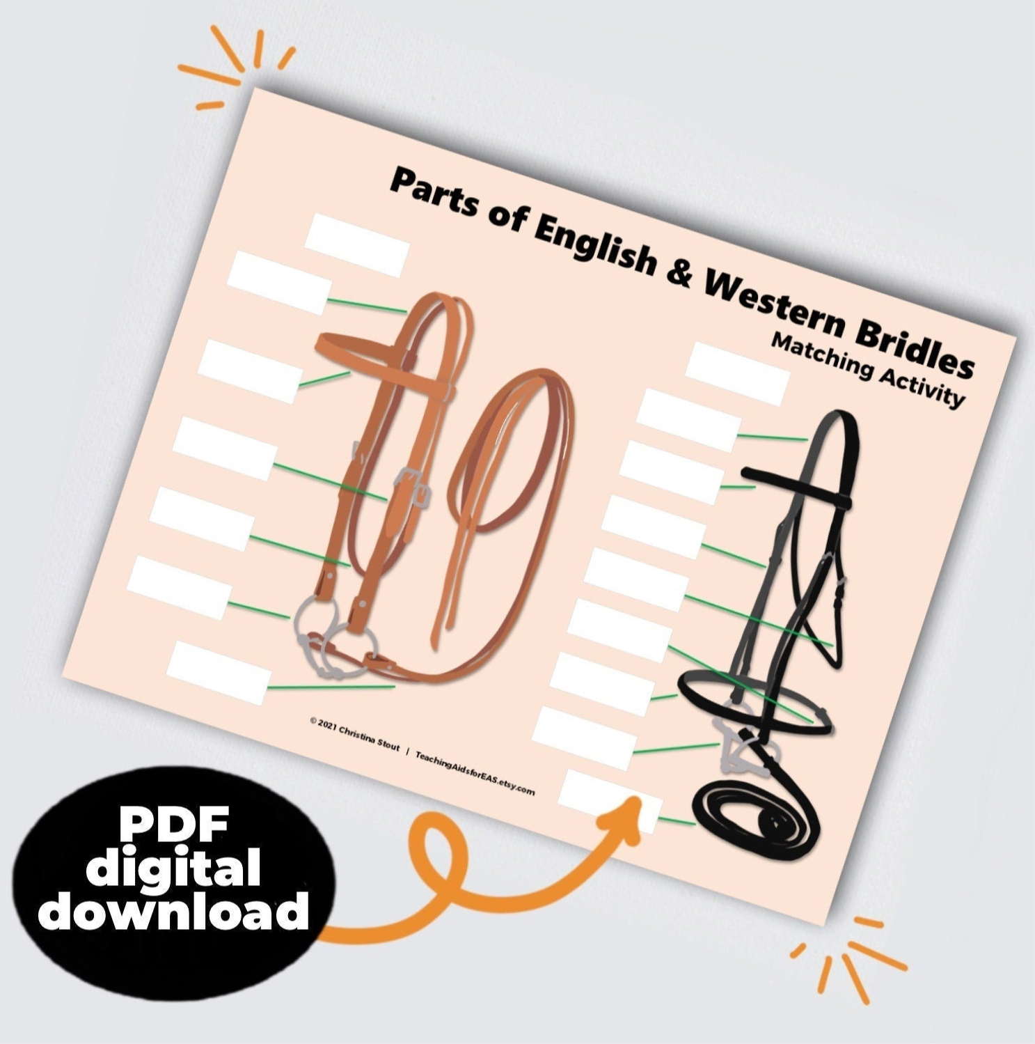 parts of bridles - PDF download - Teaching Aids for EAS