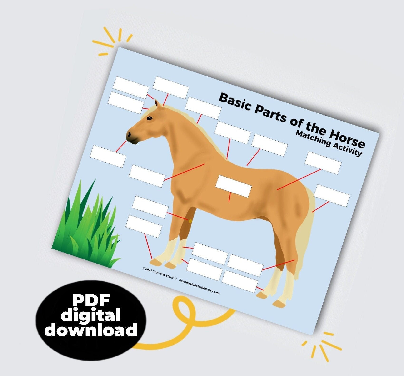 basic parts of the horse - PDF download - Teaching Aids for EAS