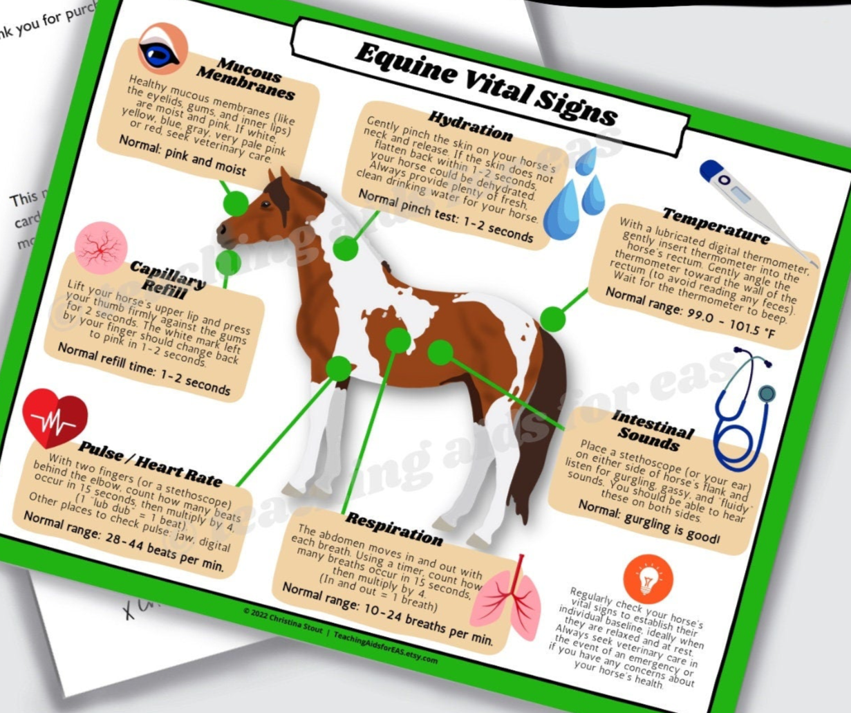 *equine vital signs sheet - Teaching Aids for EAS