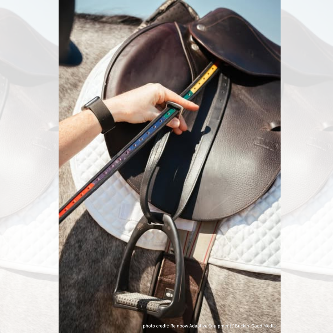 Reinbow Stirrup System leathers (2 sizes) - Teaching Aids for EAS