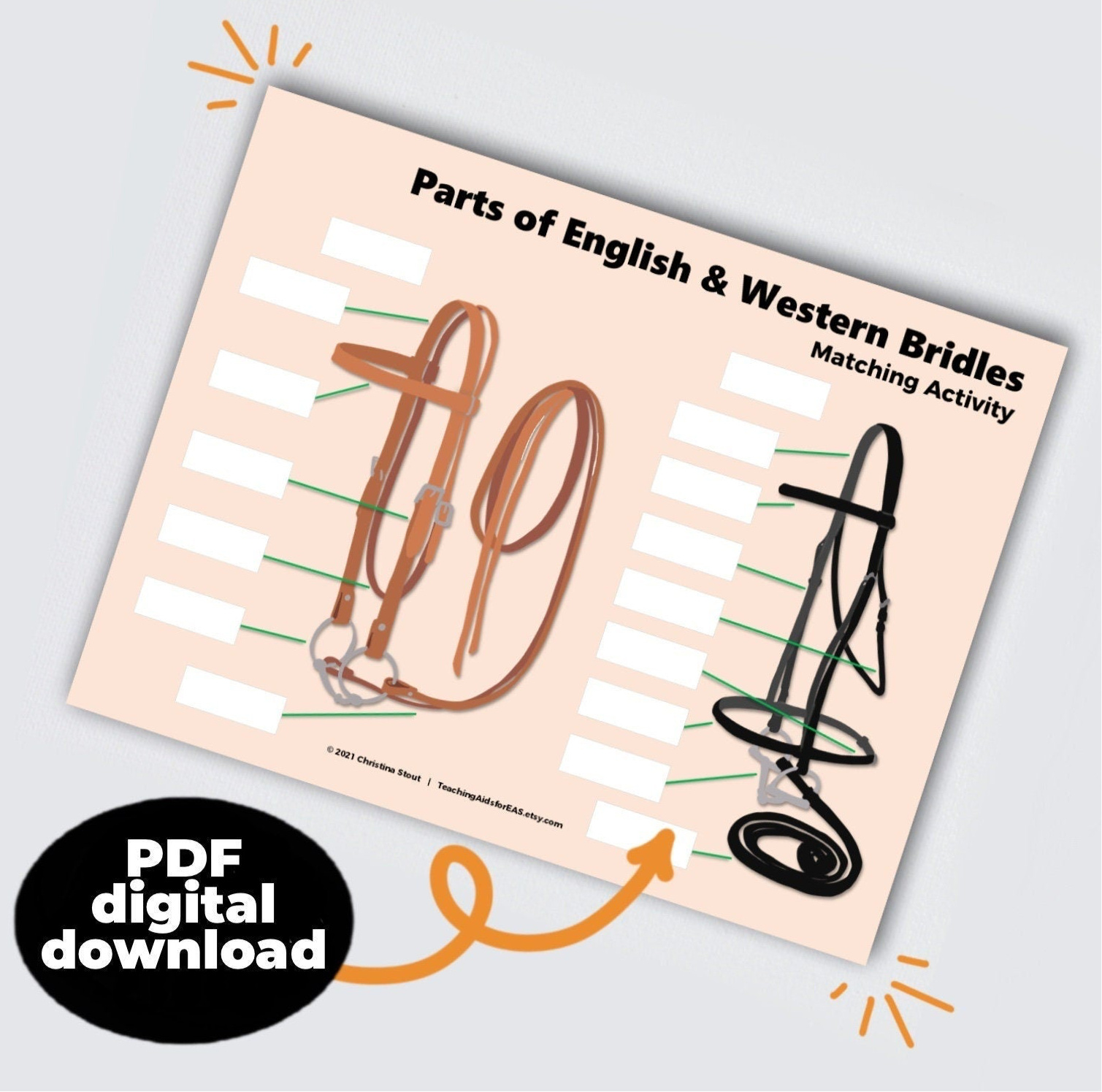 parts of bridles - PDF download - Teaching Aids for EAS