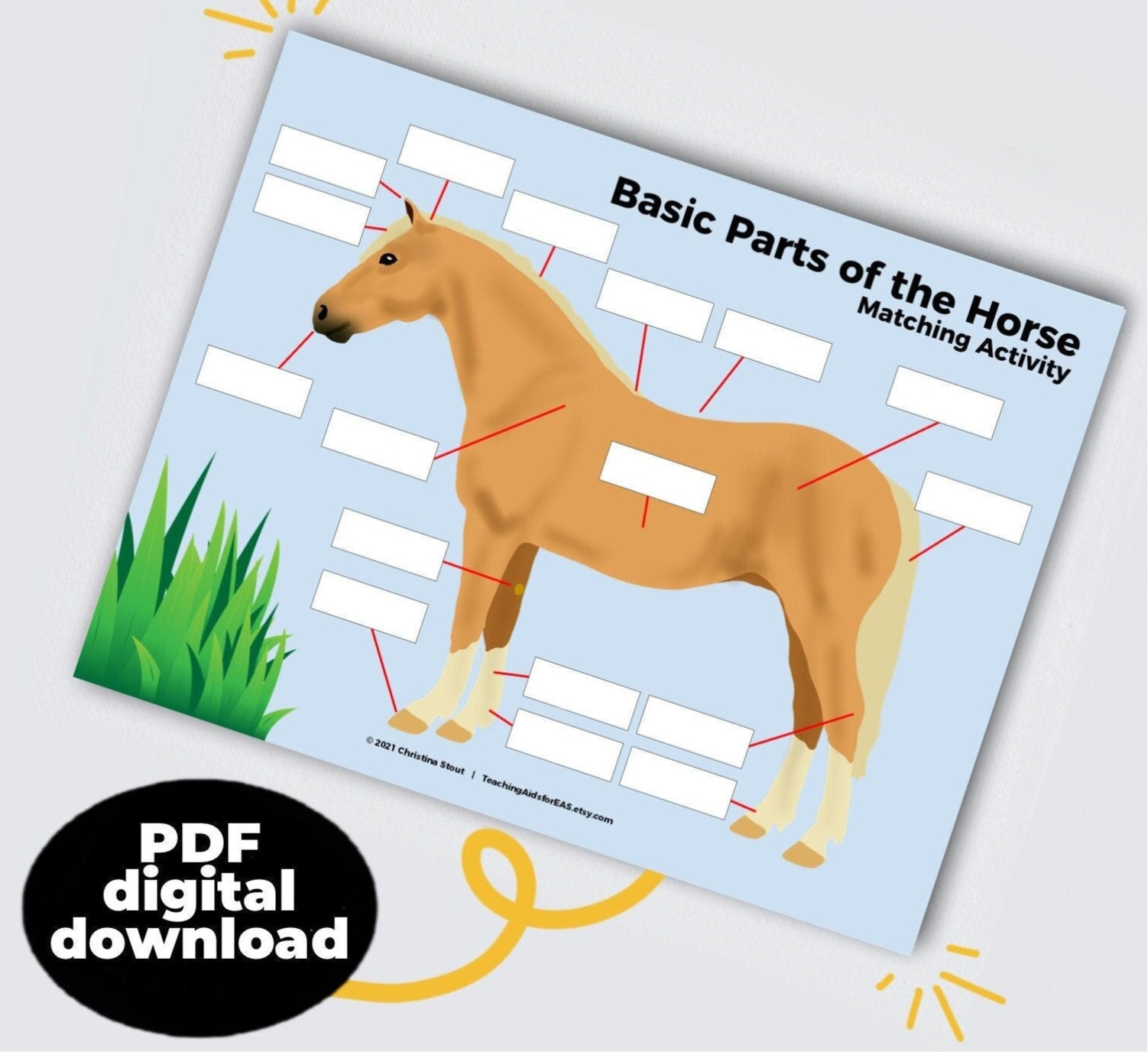basic parts of the horse - PDF download - Teaching Aids for EAS