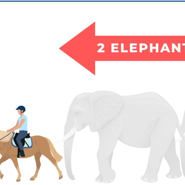 arena spacing poster - PDF download - Teaching Aids for EAS