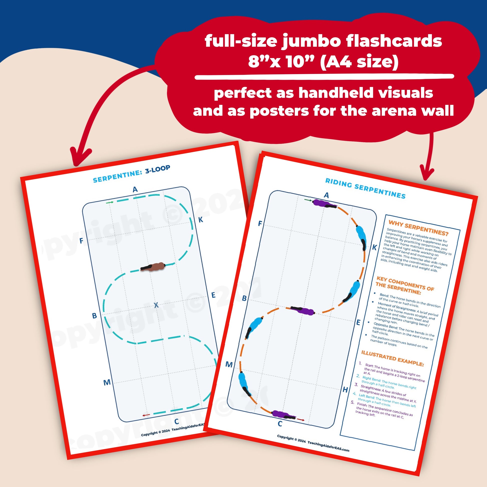 *arena basics, set 2 - Teaching Aids for EAS
