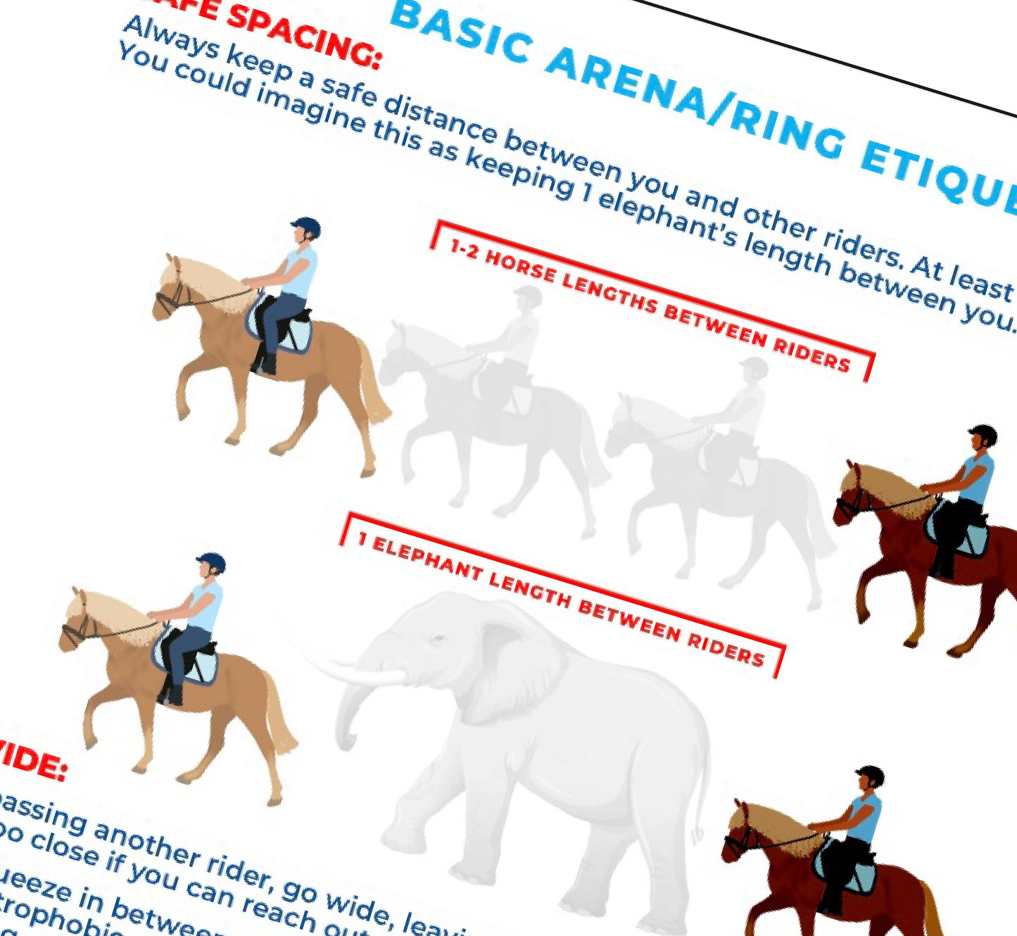 *arena basics, set 2 - Teaching Aids for EAS