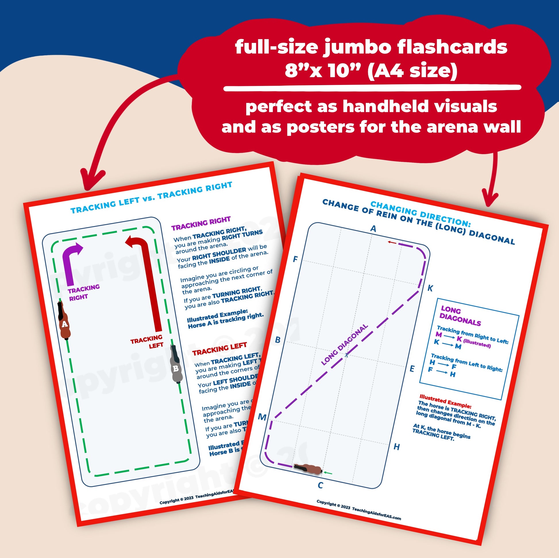 arena basics, set 1 - PDF download - Teaching Aids for EAS