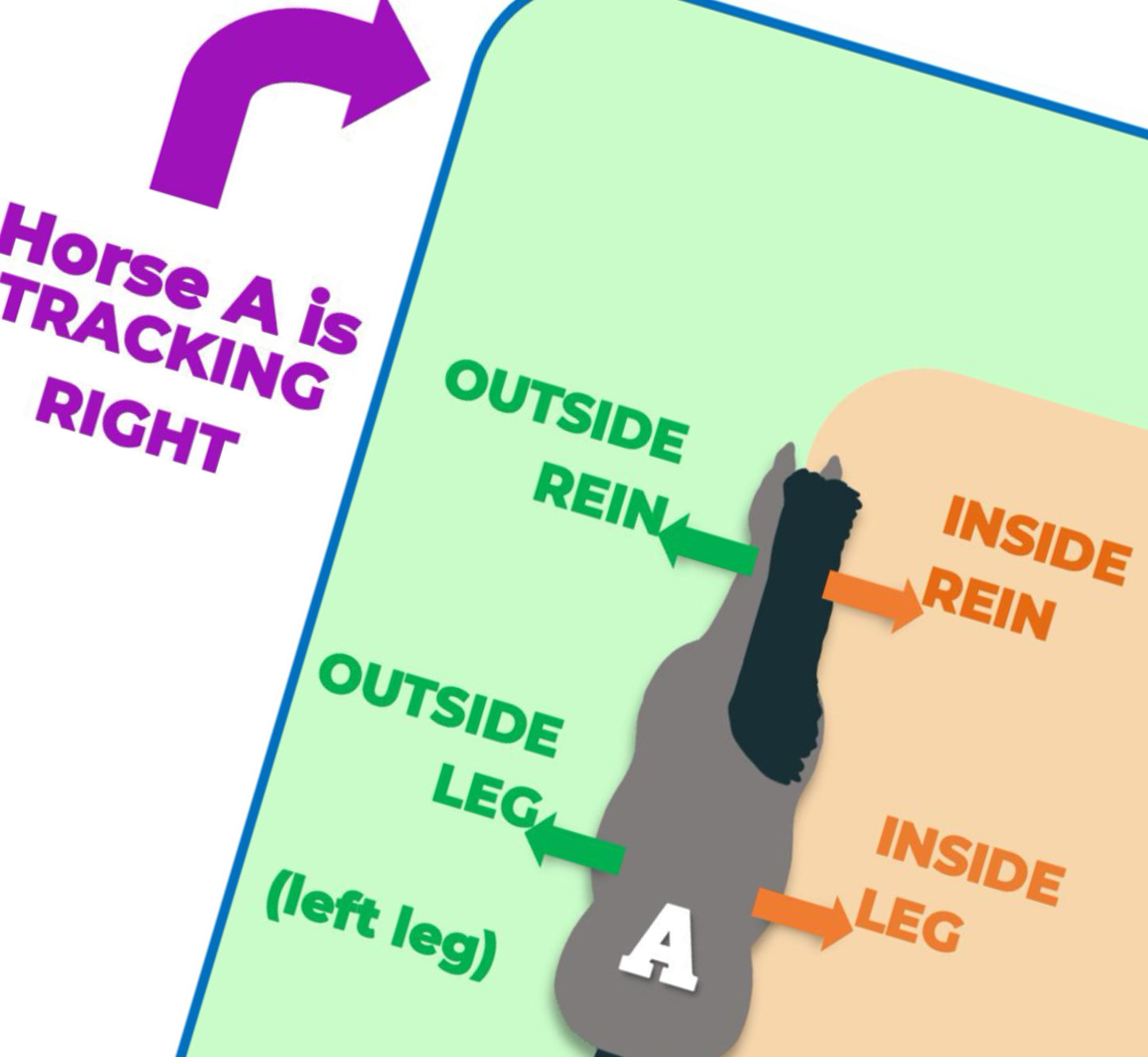 arena basics, set 1 - PDF download - Teaching Aids for EAS