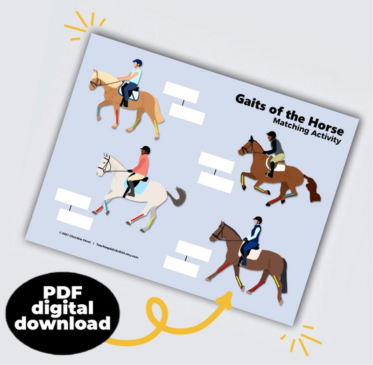 gaits of the horse - PDF download - Teaching Aids for EAS