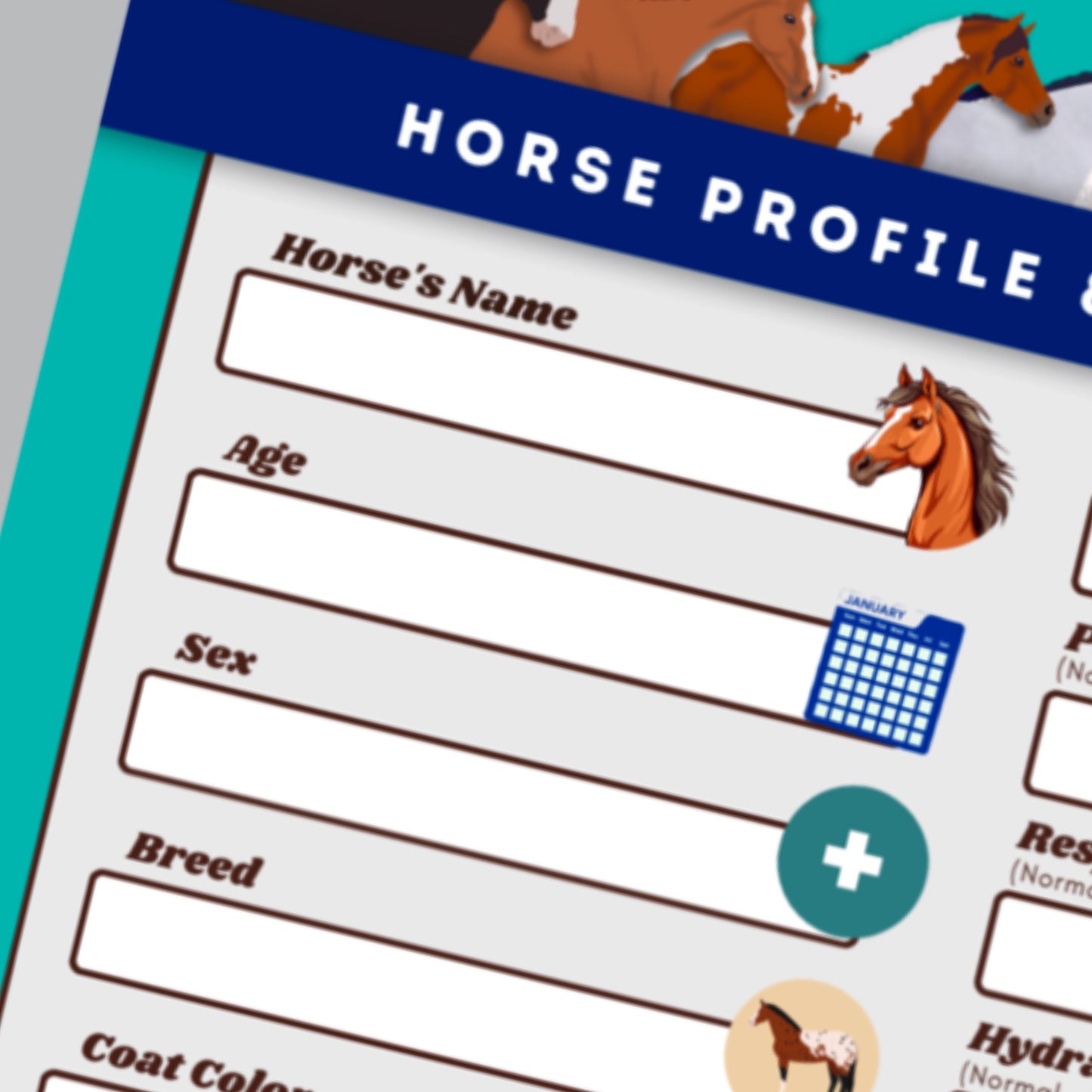 horse profile & health check - PDF download - Teaching Aids for EAS