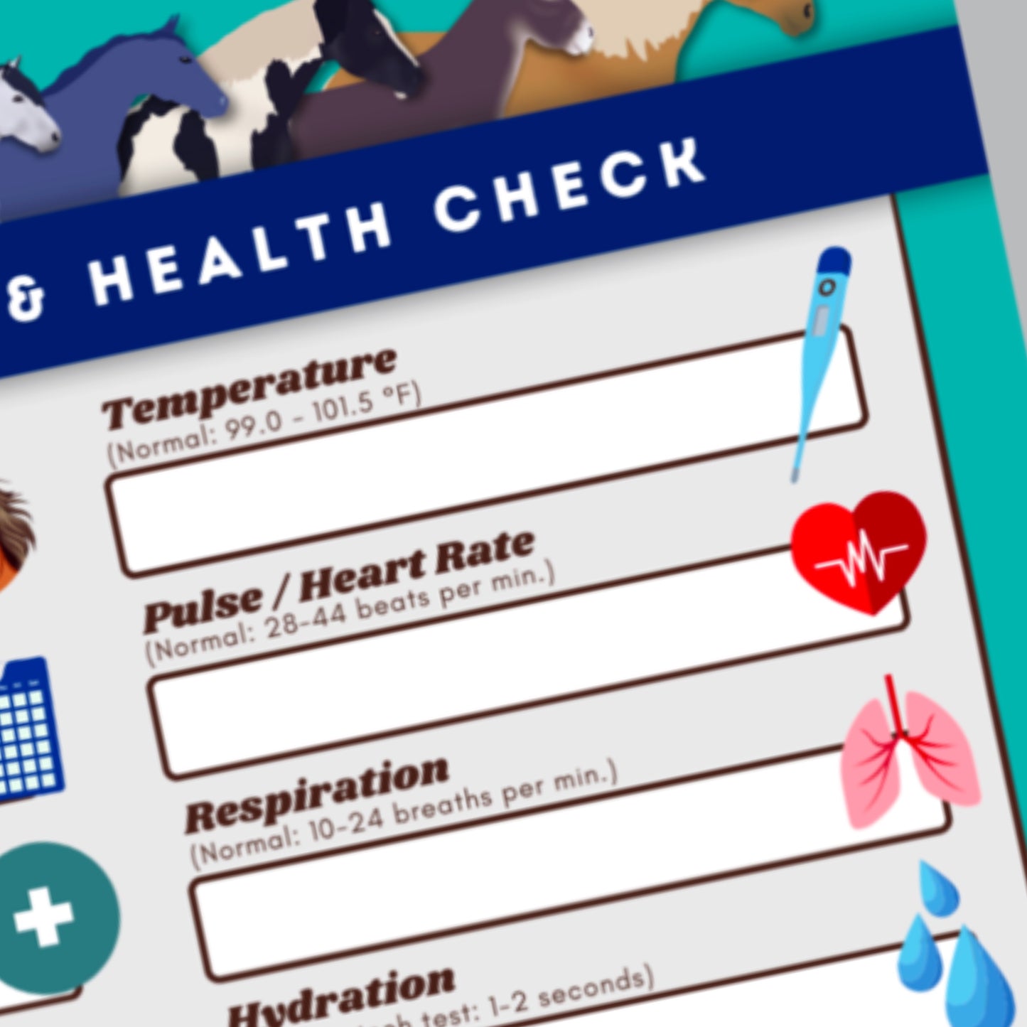 horse profile & health check - PDF download - Teaching Aids for EAS