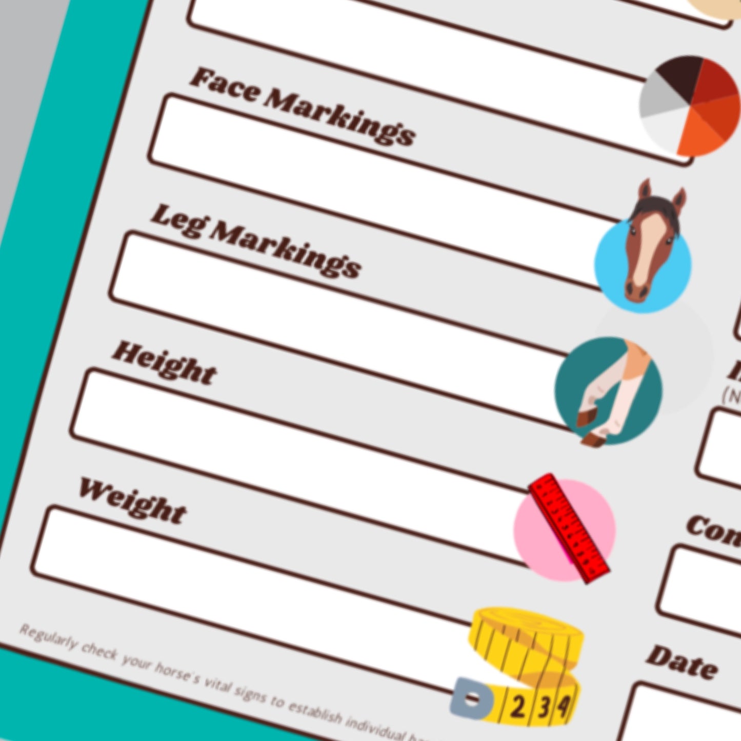 horse profile & health check - PDF download - Teaching Aids for EAS