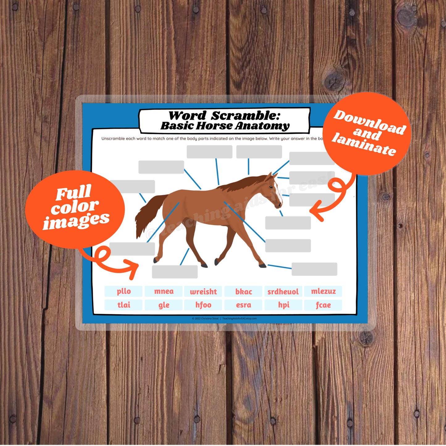 ScrambleBundle - Teaching Aids for EAS