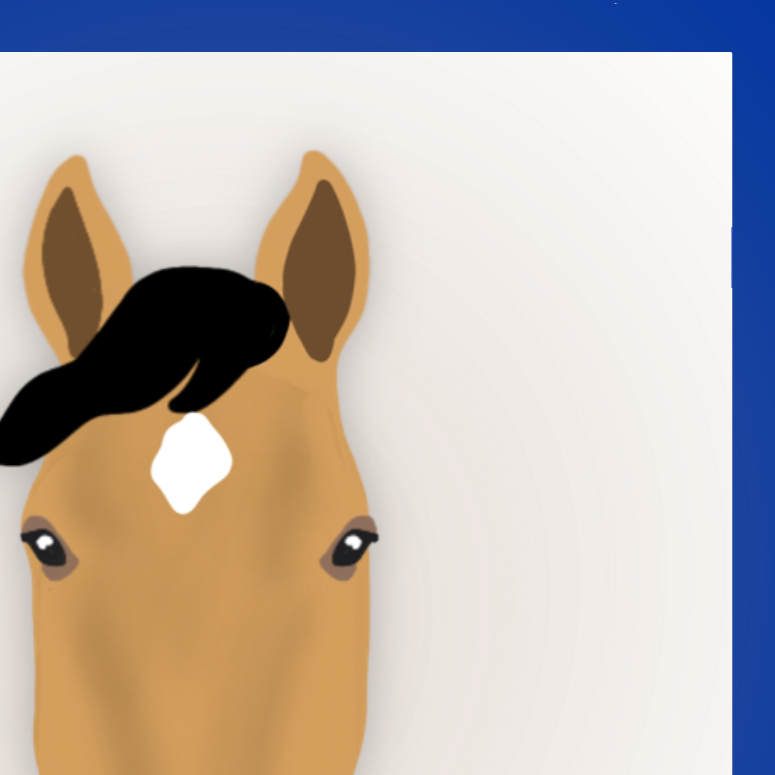 face & leg markings flashcards - PDF download - Teaching Aids for EAS