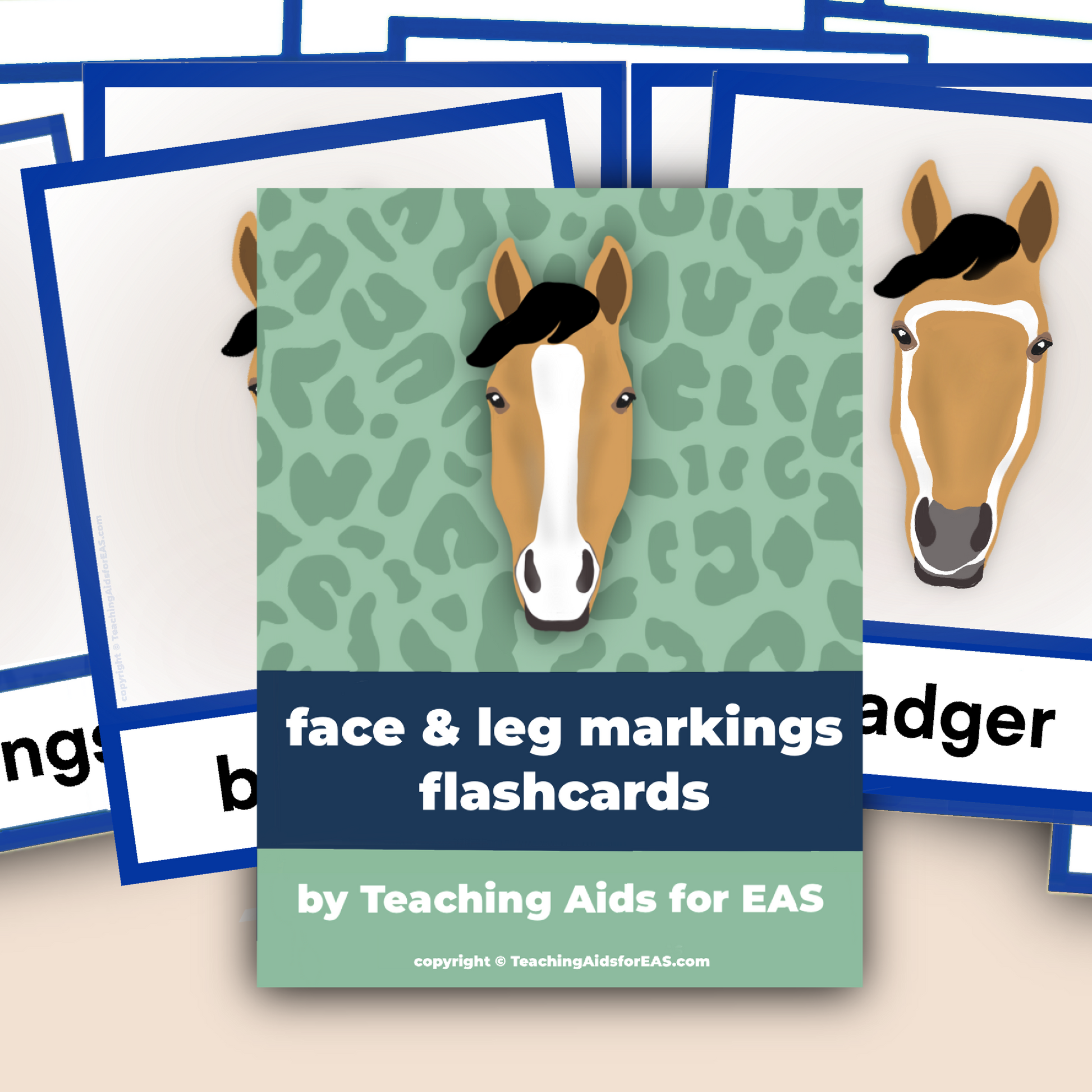 face & leg markings flashcards - PDF download - Teaching Aids for EAS