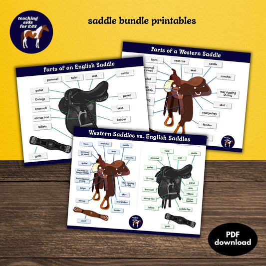 english & western saddle bundle - PDF download - Teaching Aids for EAS