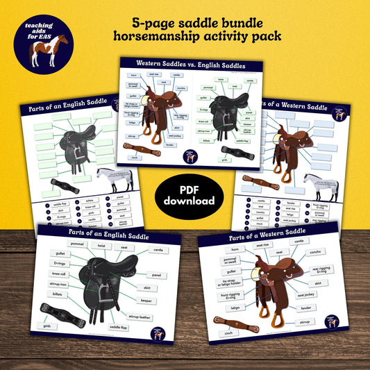 english & western saddle bundle - PDF download - Teaching Aids for EAS