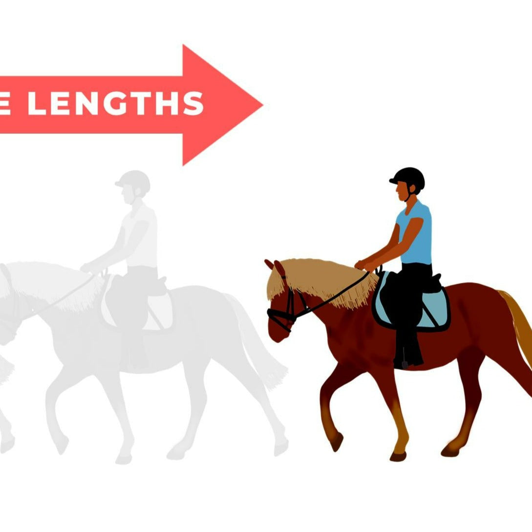 arena spacing poster - PDF download - Teaching Aids for EAS