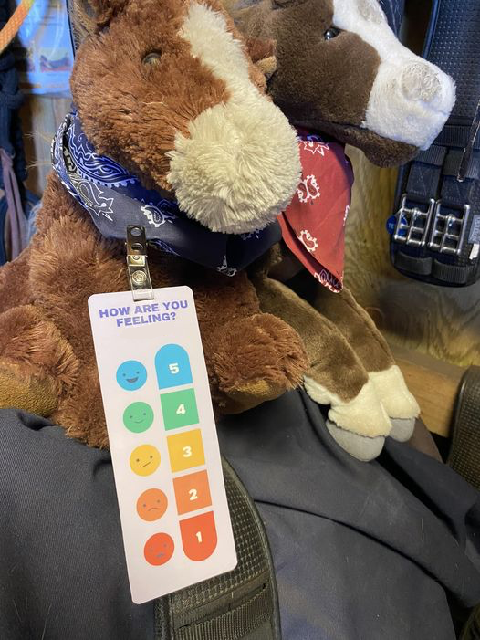 *feelings thermometer communication card - Teaching Aids for EAS