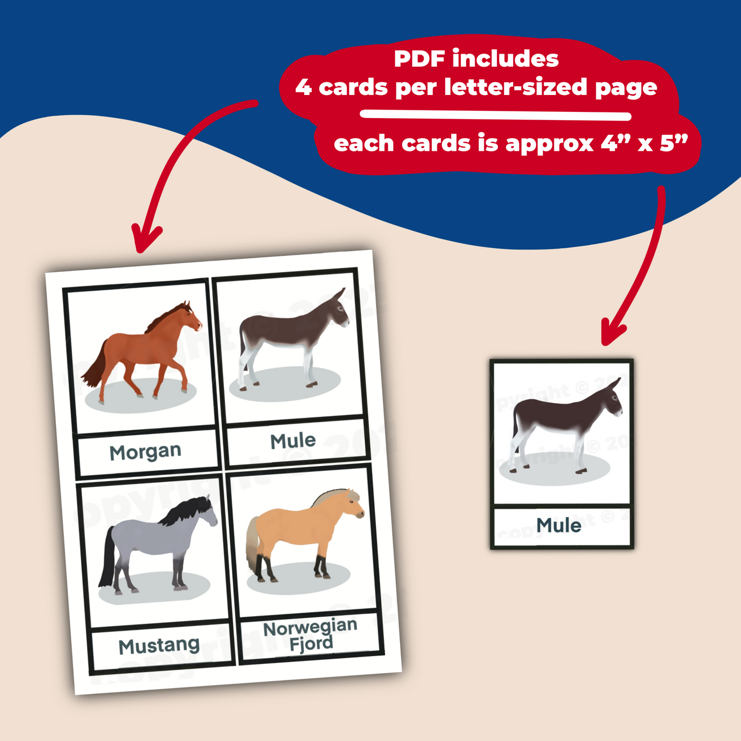 horse breed flashcards - PDF download - Teaching Aids for EAS