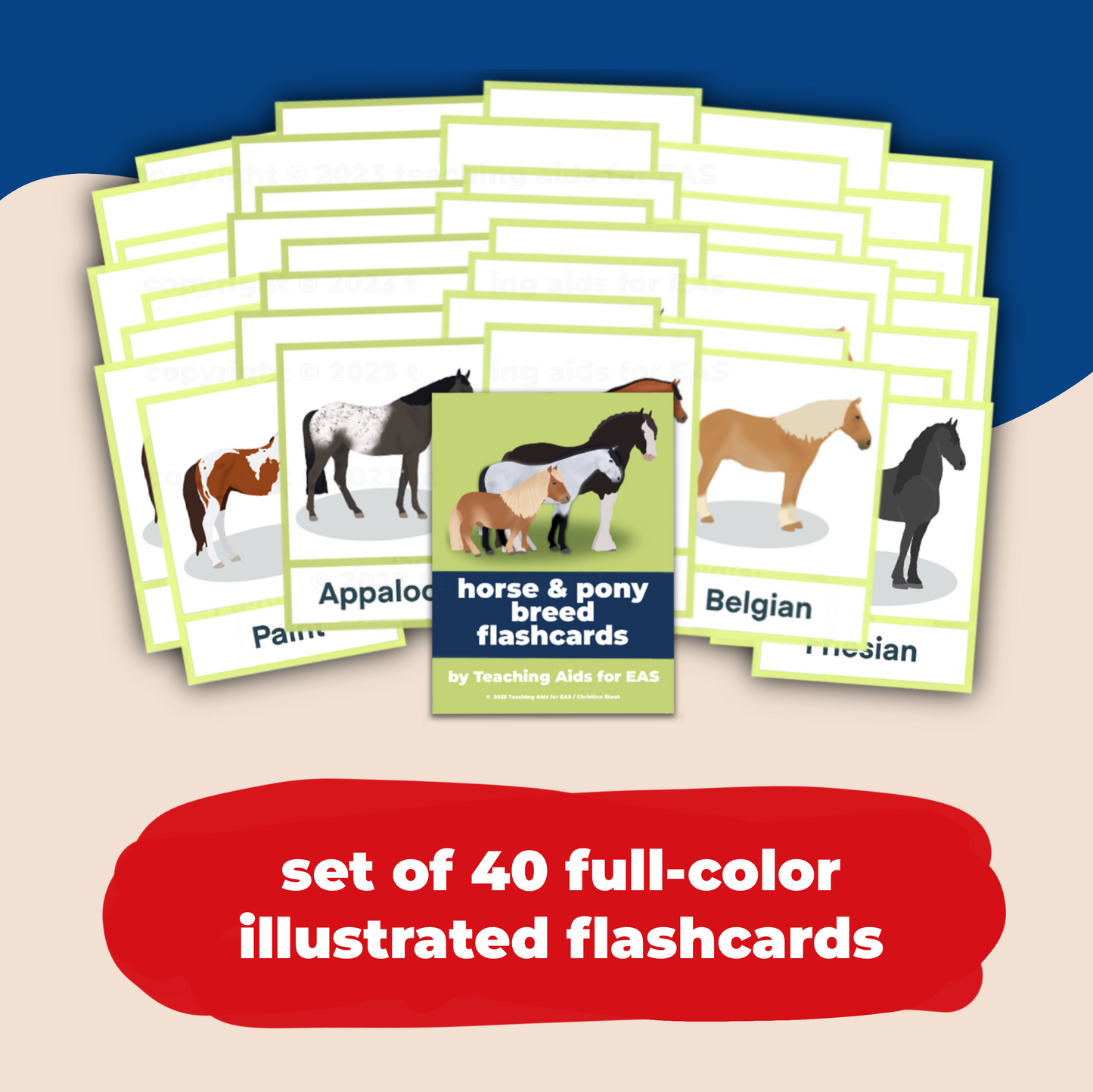 horse breed flashcards - PDF download - Teaching Aids for EAS