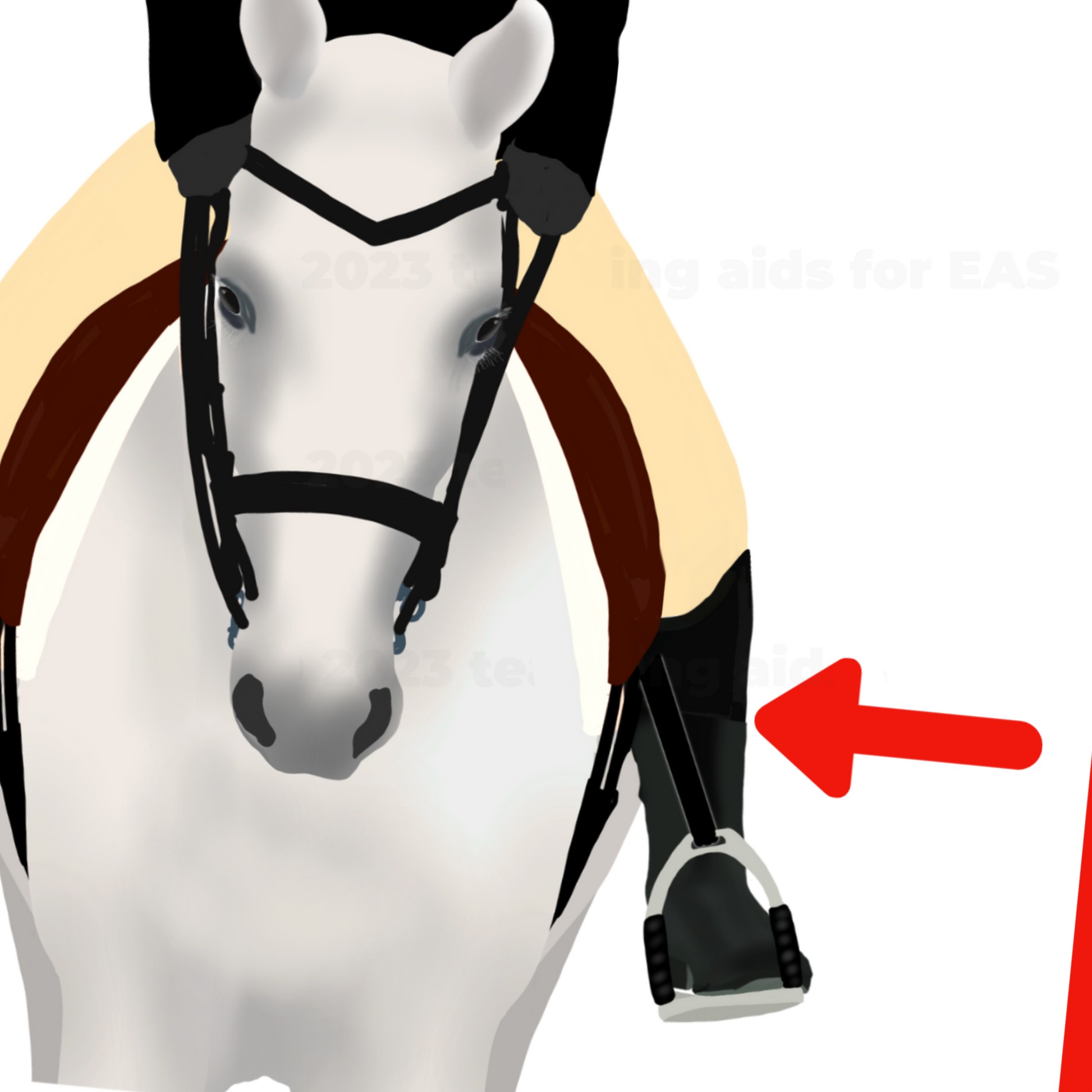 riding skills flashcards - PDF download - Teaching Aids for EAS