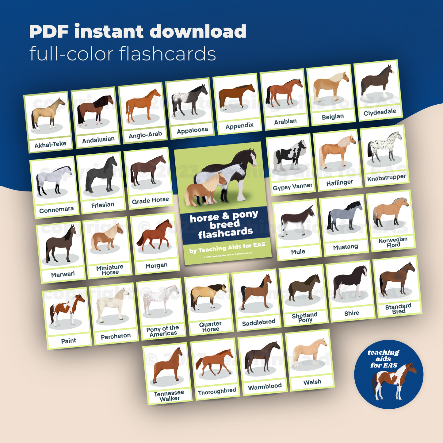 horse breed flashcards - PDF download - Teaching Aids for EAS