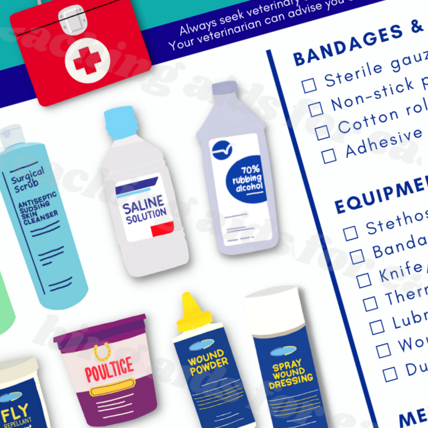 equine first aid kit - PDF download - Teaching Aids for EAS