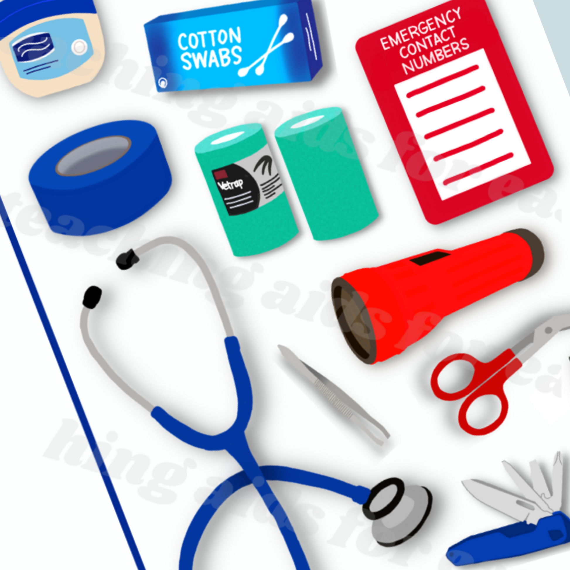 equine first aid kit - PDF download - Teaching Aids for EAS