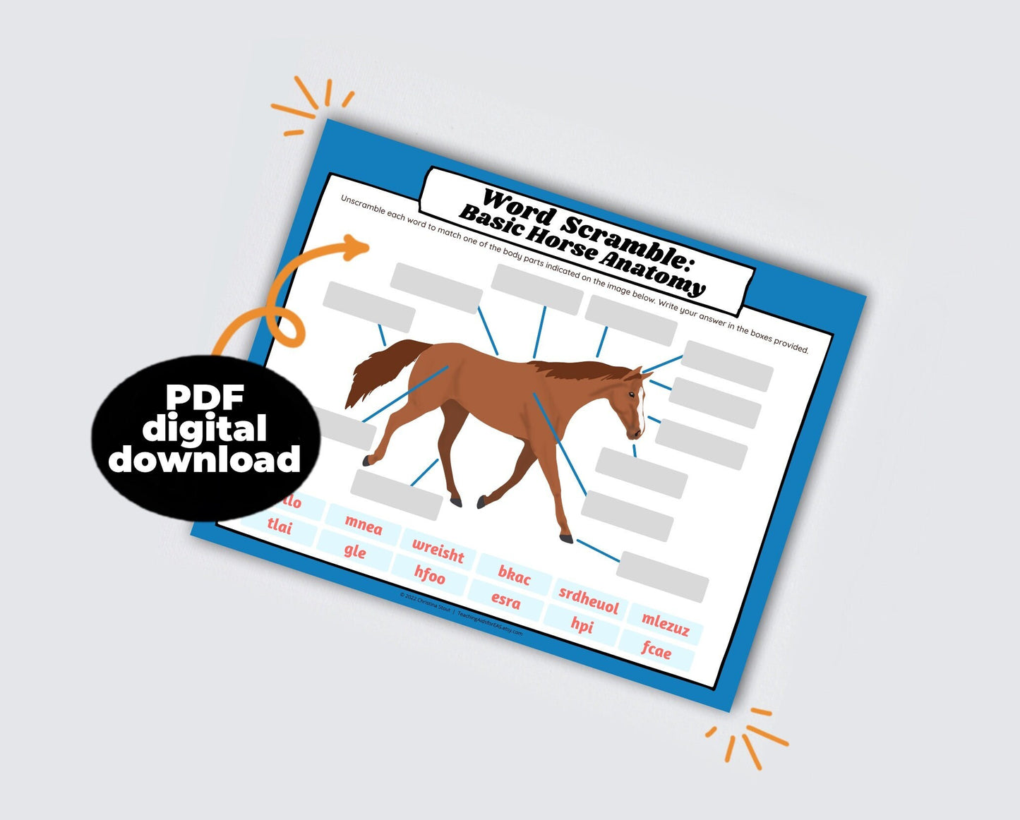 word scramble, horse anatomy basics - PDF download - Teaching Aids for EAS