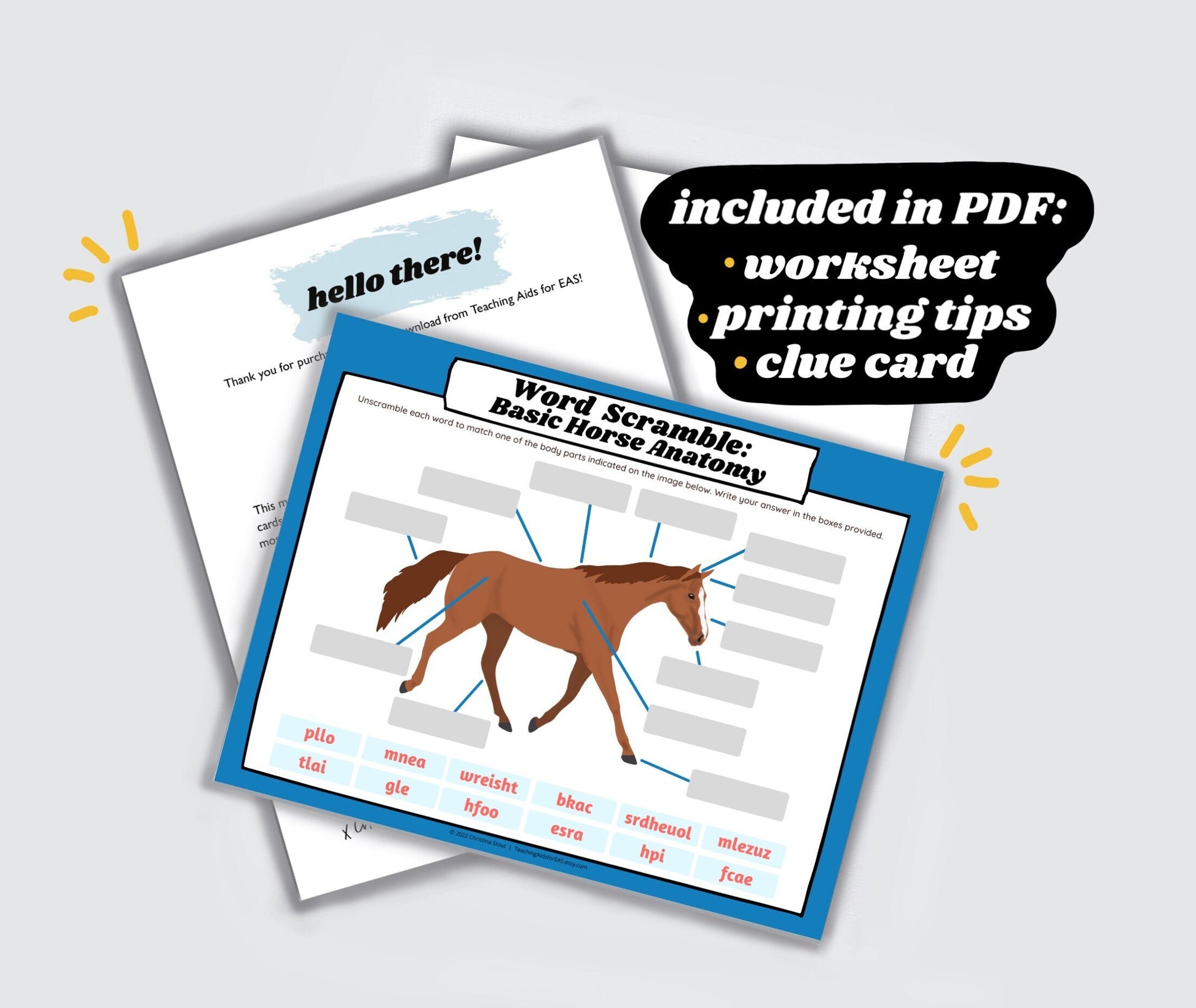 word scramble, horse anatomy basics - PDF download - Teaching Aids for EAS